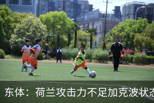 东体：荷兰攻击力不足加克波状态糟糕，防线廷伯伤退带来麻烦